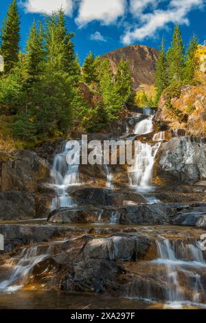 Mill Creek Falls, Lundy Canyon, Hoover Wilderness, Inyo National Forest, Eastern Sierra, Kalifornien Stockfoto