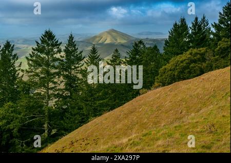 Black Mountain, aus Samuel P. Taylor State Park, Marin County, Kalifornien Stockfoto