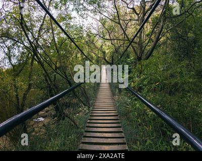 Eine Hängebrücke führt in den Wald Stockfoto