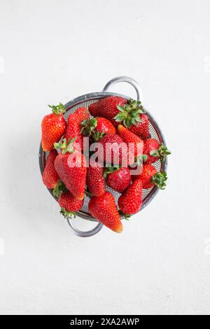 Frisch geerntete Erdbeeren in einem Sieb Stockfoto