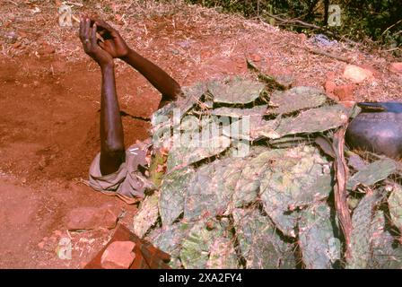 Indien: Ein Fakir oder Yogi mit dem Kopf in der Erde, Poornima Festival in der Nähe des Yellamma-Tempels in Saundatti, Karnataka (1994). Jedes Jahr im Hindumonat Magh (Januar bis Februar) versammeln sich mehr als eine halbe Million Menschen um den winzigen Tempel der Göttin Yellamma in Saundatti. Yellamma ist der Schutzpatron der devadasi oder Frauen, die dem Dienst an einer Gottheit oder einem Tempel gewidmet sind. Stockfoto