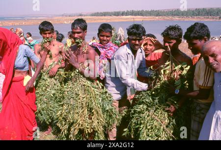 Indien: Anhänger der Göttin Yellamma, bedeckt mit Neemblättern, Poornima Festival in der Nähe des Yellamma-Tempels, Saundatti, Karnataka (1994). Jedes Jahr im Hindumonat Magh (Januar bis Februar) versammeln sich mehr als eine halbe Million Menschen um den winzigen Tempel der Göttin Yellamma in Saundatti. Yellamma ist der Schutzpatron der devadasi oder Frauen, die dem Dienst an einer Gottheit oder einem Tempel gewidmet sind. Stockfoto