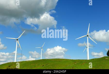 Ein Windpark entlang der Straße nach Masterton auf der Nordinsel Neuseelands. Stockfoto