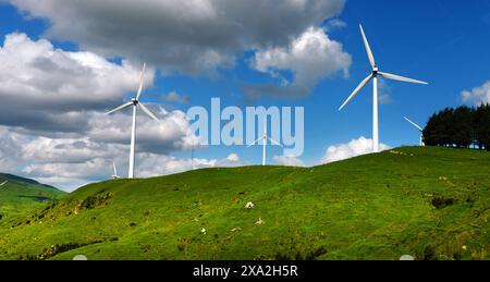 Ein Windpark entlang der Straße nach Masterton auf der Nordinsel Neuseelands. Stockfoto