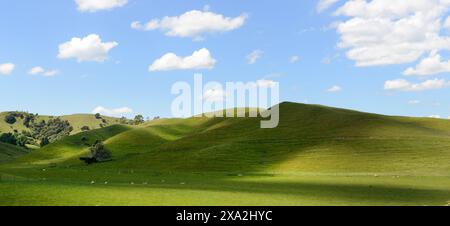 Wunderschöne Landschaften in den zentralen Regionen der nördlichen Insel Neuseelands. Stockfoto