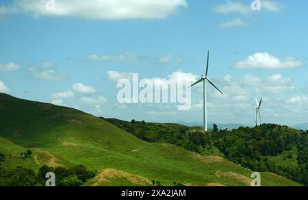 Ein Windpark entlang der Straße nach Masterton auf der Nordinsel Neuseelands. Stockfoto