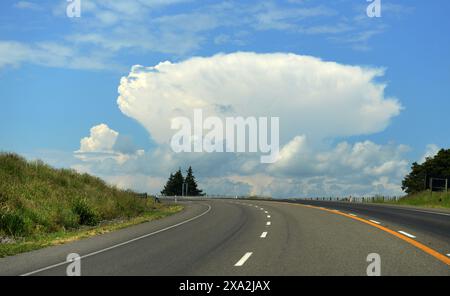 Wunderschöne Landschaften in den zentralen Regionen der nördlichen Insel Neuseelands. Stockfoto