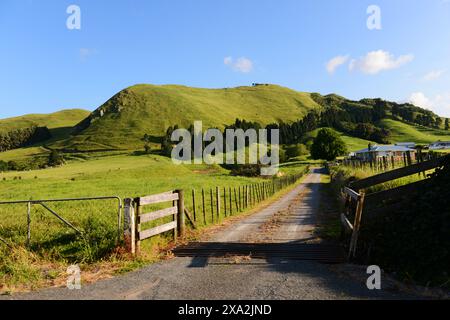 Wunderschöne Landschaften in den zentralen Regionen der nördlichen Insel Neuseelands. Stockfoto