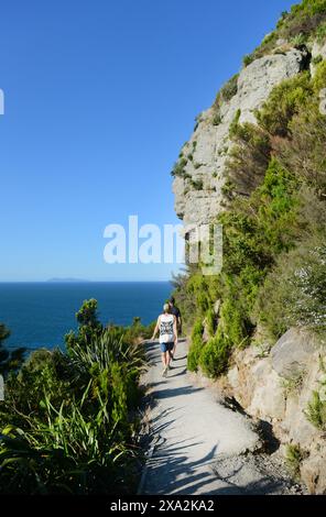 Wandern auf dem Mount Maunganui in Tauranga, Neuseeland. Stockfoto