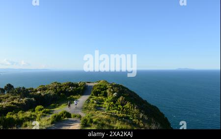 Wandern auf dem Mount Maunganui in Tauranga, Neuseeland. Stockfoto