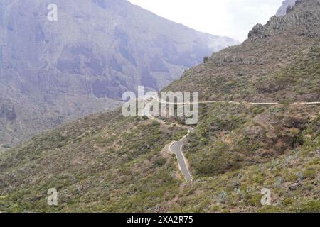 Auf dem Weg zum Teide, El Teide, Pico del Teide, Vulkan im Teide Nationalpark auf Teneriffa, Kanarischen Inseln, Spanien, Europa, kurvenreiche Straße Stockfoto