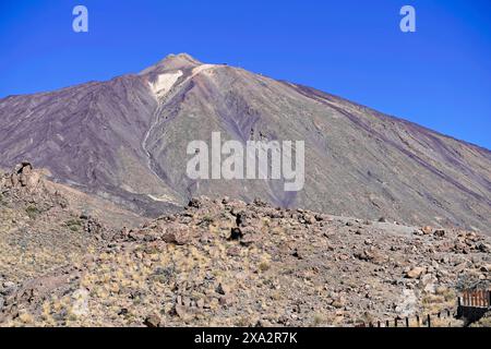 Auf dem Weg zum Teide, El Teide, Pico del Teide, Vulkan im Teide-Nationalpark auf Teneriffa, Kanarischen Inseln, Spanien, Europa, Ein markantes Stück Stockfoto