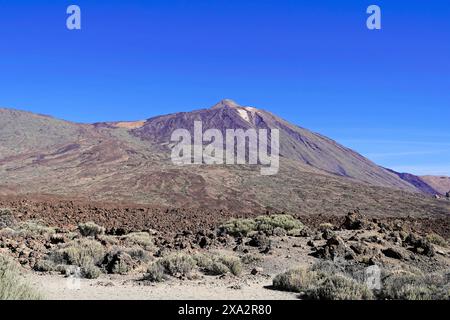 Auf dem Weg zum Teide, El Teide, Pico del Teide, Vulkan im Teide Nationalpark auf Teneriffa, Kanarischen Inseln, Spanien, Europa, breiter Berg Stockfoto