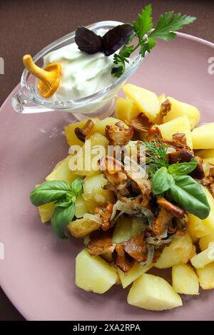 Gekochte Kartoffeln mit Pfifferlingen, garniert mit Basilikum und Petersilie, serviert mit Sauerrahm auf einem rosafarbenen Teller Stockfoto