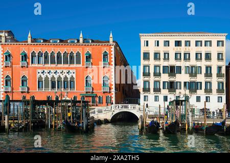 Luxuriöses und berühmtes 5-Sterne-Hotel Danieli am Canal Grande an einem sonnigen Tag in Venedig, Veneto, Italien Stockfoto