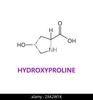 Hydroxyprolinaminosäurechemische Moleküle, essentielle Kettenstruktur mit einer Hydroxylgruppe. Die zyklische Vektorkette trägt zur Stabilität und Stärke des Kollagens in Bindegewebe bei Stock Vektor