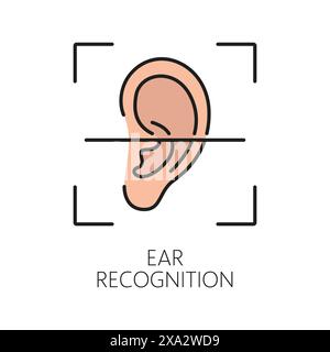 Symbol für biometrische Identifikation, Ohrerkennung oder Verifizierung. ID-biometrische Verifizierung, Signatursicherheitstechnologie oder Identitätserkennungs-Farb-Vektor-Symbol oder -Symbol mit menschlichem Ohr Stock Vektor