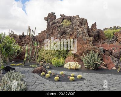 Ein felsiger Garten mit verschiedenen Kakteen und Sukkulenten vor vulkanischen Felsen unter bewölktem Himmel, Lanzarote, Spanien Stockfoto