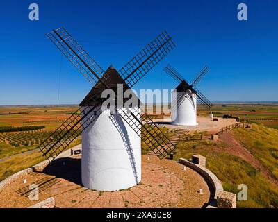 Zwei Windmühlen stehen auf einem sonnigen Hügel in einer weiten Feldlandschaft unter klarem Himmel, aus der Vogelperspektive: Alcazar de San Juan, Ciudad Real, Castilla-La Mancha Stockfoto