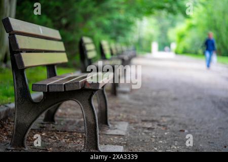 Bank im Park, Springtime Relax Bereich Stockfoto