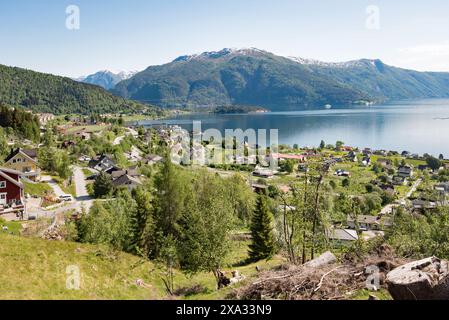 Naturpfade entlang des Fjords und oberhalb des Dorfes Balestrand in Norwegen, einige bieten eine schöne Aussicht, andere in diesem Kiefernwald. Stockfoto