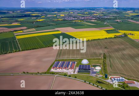 Luftaufnahme, Biogasanlage und Bauernhof mit Sonnendach, Gutsverwaltung gut Dinkelburg Graf von Westphalen, Fernsicht auf blauen Himmel und gekachelte Wiesen und Stockfoto