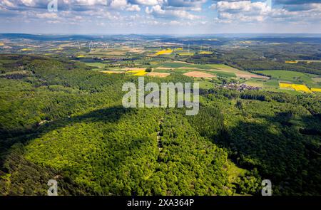 Aus der Vogelperspektive, Naturschutzgebiet Hinnenburger Forst mit Emder Bachtal, Waldgebiet mit Blick auf das Dorf Erwitzen, Windkraftwerk Windräder in Th Stockfoto