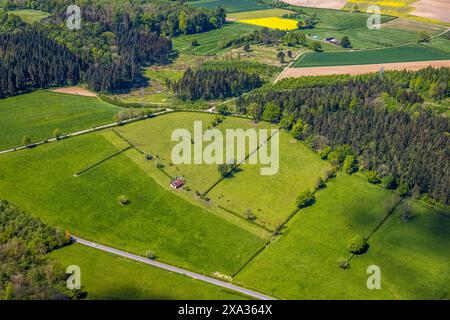 Aus der Vogelperspektive, NSG Naturpark Hinnenburger Forst mit Emder Bachtal, sanfte Hügellandschaft mit Wiesen und Feldern, Kuhhaus auf einer Wiese mit Stockfoto