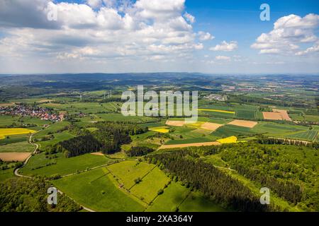 Aus der Vogelperspektive, NSG Naturpark Hinnenburger Forst mit Emder Bachtal, sanfte Hügellandschaft mit Wiesen und Feldern, Kuhhaus auf einer Wiese mit Stockfoto