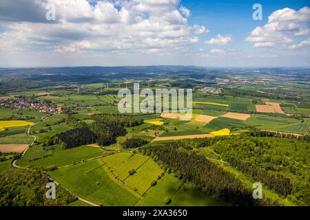 Aus der Vogelperspektive, NSG Naturpark Hinnenburger Forst mit Emder Bachtal, sanfte Hügellandschaft mit Wiesen und Feldern, Kuhhaus auf einer Wiese mit Stockfoto