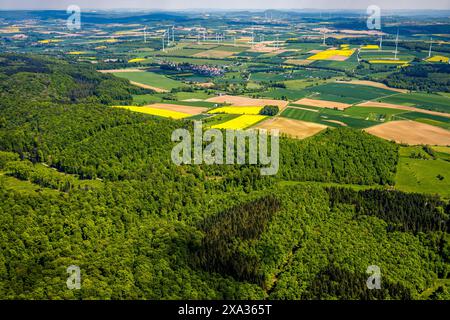 Aus der Vogelperspektive, Naturschutzgebiet Hinnenburger Forst mit Emder Bachtal, Waldgebiet mit Blick auf das Dorf Holzhausen, Windkraftwerk Windräder in Stockfoto