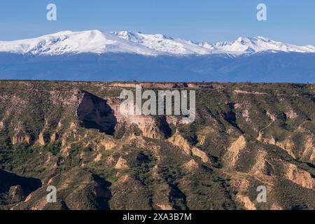 Gorafe Schluchten, Puntal de Don Diego, Oberturolisches und Pliozän, Guadix-Becken, Granada Geopark, Granada Provinz, Andalusien, Spanien Stockfoto