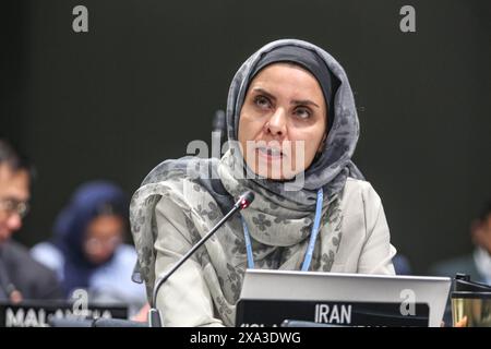 Bonn, Deutschland, Deutschland. Juni 2024. Ein Vertreter des Iran spricht während der Plenarsitzung des SB 60-Klimaschutzübereinkommens, das zehn Tage lang auf dem UN-Campus in Bonn stattfinden wird. Die Nationen kommen zusammen, um sich mit den anhaltenden Problemen und neuen Problemen der globalen Klimakarte zu befassen, wobei sie sich vor der COP 29 in Baku (Aserbaidschan) mit den einzelnen Nationen und Regionen nach ihrer Perspektive und mit den einzigartigen Problemen zu kollektiven Fragen befassen. (Kreditbild: © Bianca Otero/ZUMA Press Wire) NUR REDAKTIONELLE VERWENDUNG! Nicht für kommerzielle ZWECKE! Stockfoto