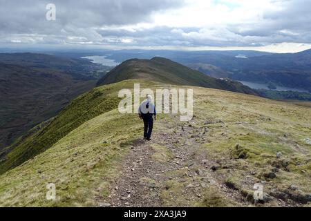 Man (Wanderer) zu Fuß vom Gipfel des Wainwright „Great Rigg“ auf dem Fairfield Horseshoe im Lake District National Park, Cumbria, England. Stockfoto