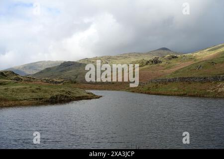 Die Wainwrights „Stone Arthur“ & „Great Rigg“ von Alcock Tarn in der Nähe von Grasmere im Lake District National Park, Cumbria, England, Großbritannien. Stockfoto