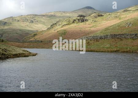 Die Wainwrights „Stone Arthur“ & „Great Rigg“ von Alcock Tarn in der Nähe von Grasmere im Lake District National Park, Cumbria, England, Großbritannien. Stockfoto