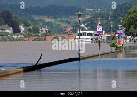 Hochwasser nach Dauerregen 03.06.2024 Blick auf das Hochwasser im Neckar und Alte Brücke Heidelberg Baden-Württemberg Deutschland *** Hochwasser nach Dauerregen 03 06 2024 Blick auf das Hochwasser im Neckar und Alte Brücke Heidelberg Baden-Württemberg Deutschland Stockfoto