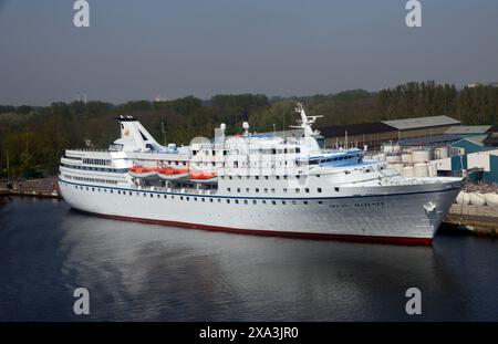 Die All White Ocean Majesty eines der ältesten kleinen Luxus-Kreuzfahrtschiffe, die im Nordseekanaal (Noordzeekanaal) in Amsterdam, Niederlande, EU, Stockfoto