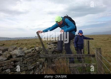 Männer (Wanderer) klettern auf Holzsteg zwischen Steinmauer und Zaun auf dem Summit of Aye Gill Pike, Yorkshire Dales National Park, England, Großbritannien. Stockfoto