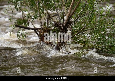 Karlsbad, Tschechische Republik. Juni 2024. Überfluteter Fluss Ohre bei Karlsbad, Tschechische Republik, 2. Juni 2024. Quelle: Slavomir Kubes/CTK Photo/Alamy Live News Stockfoto