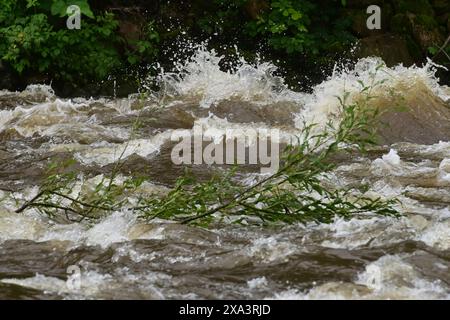 Karlsbad, Tschechische Republik. Juni 2024. Überfluteter Fluss Ohre bei Karlsbad, Tschechische Republik, 2. Juni 2024. Quelle: Slavomir Kubes/CTK Photo/Alamy Live News Stockfoto