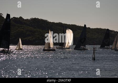 Yachten, die an einem sonnigen Nachmittag im Hafen von Sydney vom Nielsen Park in Vaucluse aus gesehen werden Stockfoto