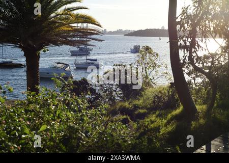 Ein klarer Blick vom Eremitage Foreshore Track in Vaucluse auf die Skyline von Sydney CBD, den Harbour Bridge Centre Point Tower, Boote auf dem Wasser Stockfoto