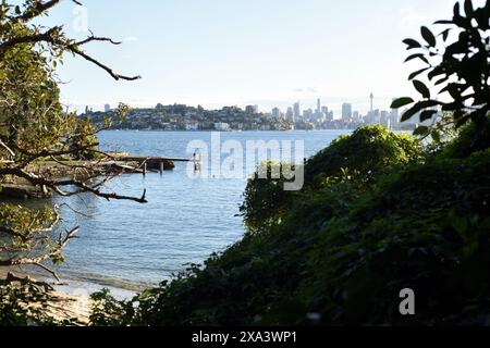 Ein Steg, Wasser und Strand, von Vaucluse zum Point Piper und zur Skyline des Sydney CBD auf dem Hermitage Foreshore Track in New South Wales, Australien Stockfoto