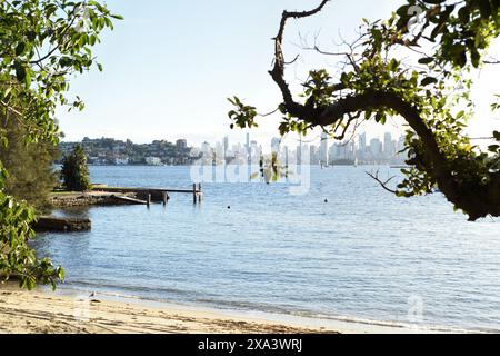 Bootsanleger und Wasser vom Hermitage Foreshore Beach in Vaucluse bis zur Skyline von Sydney CBD, Hochhäuser, Stockfoto