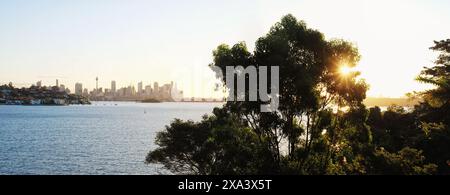 Sydney, Australien, das Panorama der CBD-Skyline vom Hermitage Foreshore Track in Vaucluse mit Sonne in den Bäumen im wunderschönen Licht am späten Nachmittag. Stockfoto