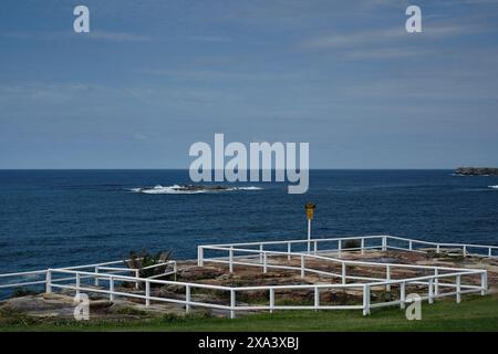 Ein Labyrinth aus weißen Holzgeländern auf den Klippen oberhalb der Coogee Bay mit Blick auf den Hochzeitstortenfelsen in Sydney, Australien Stockfoto