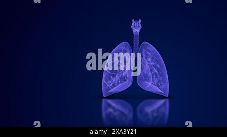 Das Atmungssystem und die Lunge Stockfoto