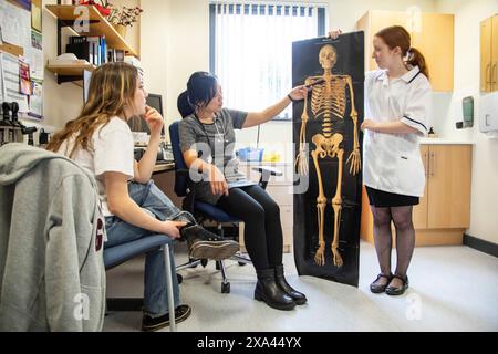 Arzt und Assistentin zeigen dem Patienten in einer Arztpraxis Skelettbild Stockfoto