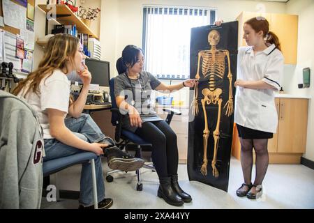 Arzt und Assistentin zeigen dem Patienten in einer Arztpraxis Skelettbild Stockfoto